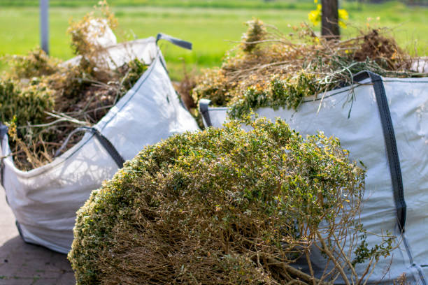 Best Residential Junk Removal  in Morgan City, LA